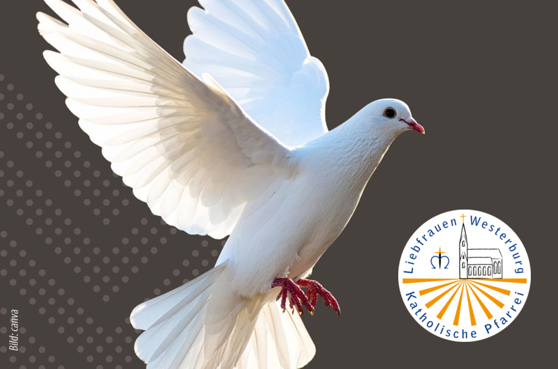 Fliegende Taube mit Logo der Pfarrei