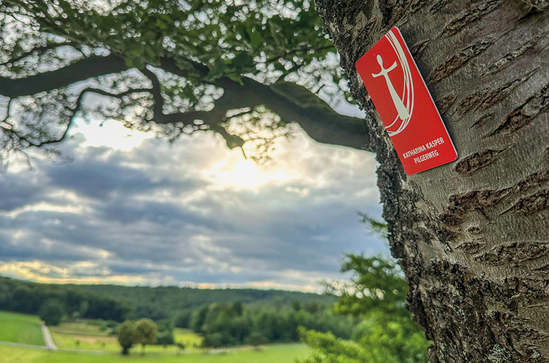 Wegzeichen zum Pilgerweg an einem Baum, im Hintergrund sieht man Wald und Wiesen